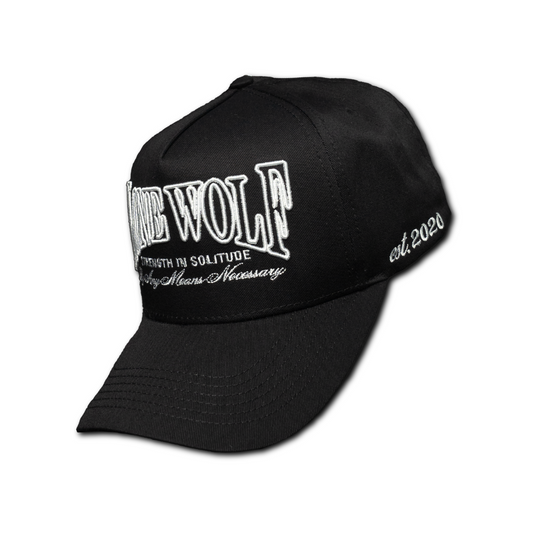 TLW BASEBALL CAP 03